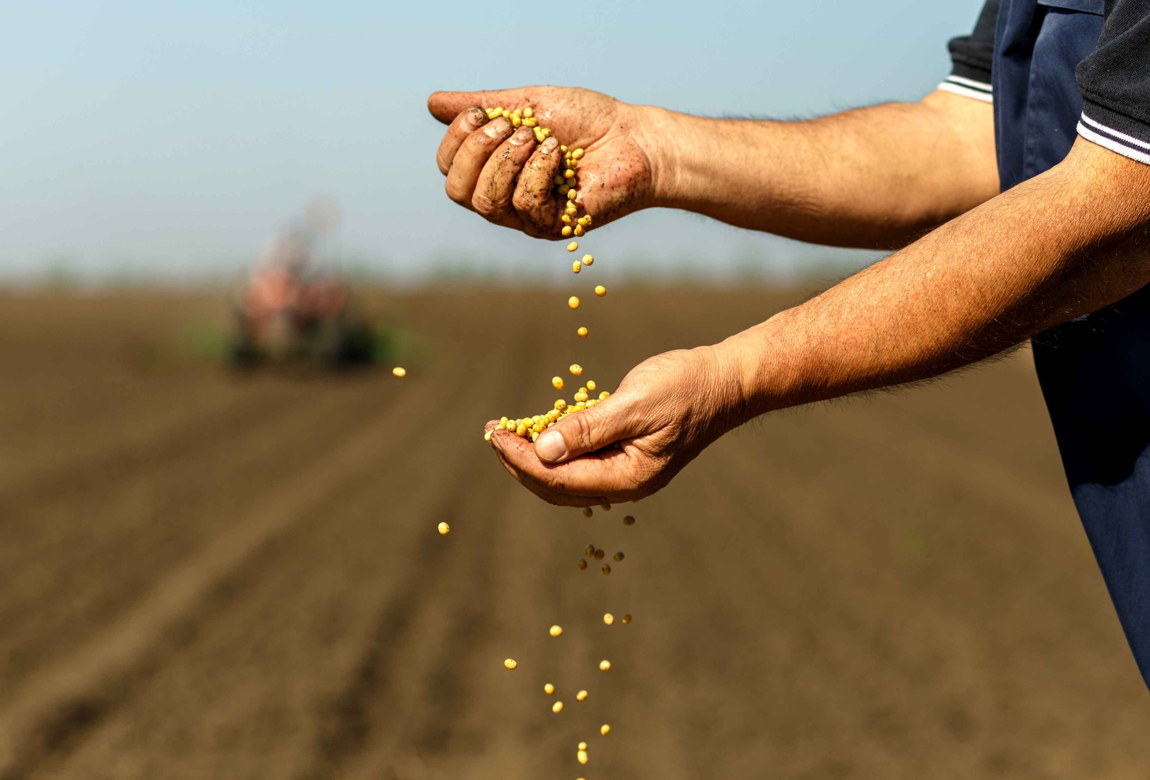 Santé des plantes, nutriments et gestion des sols