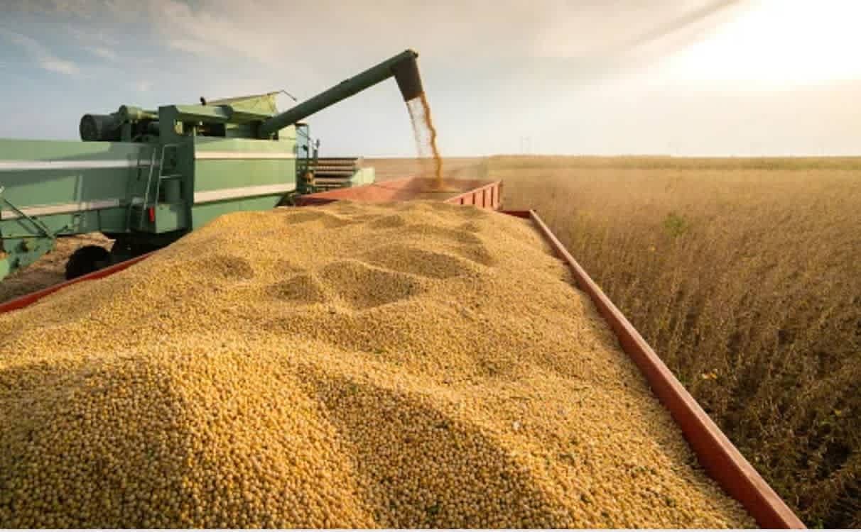 Crop Processing