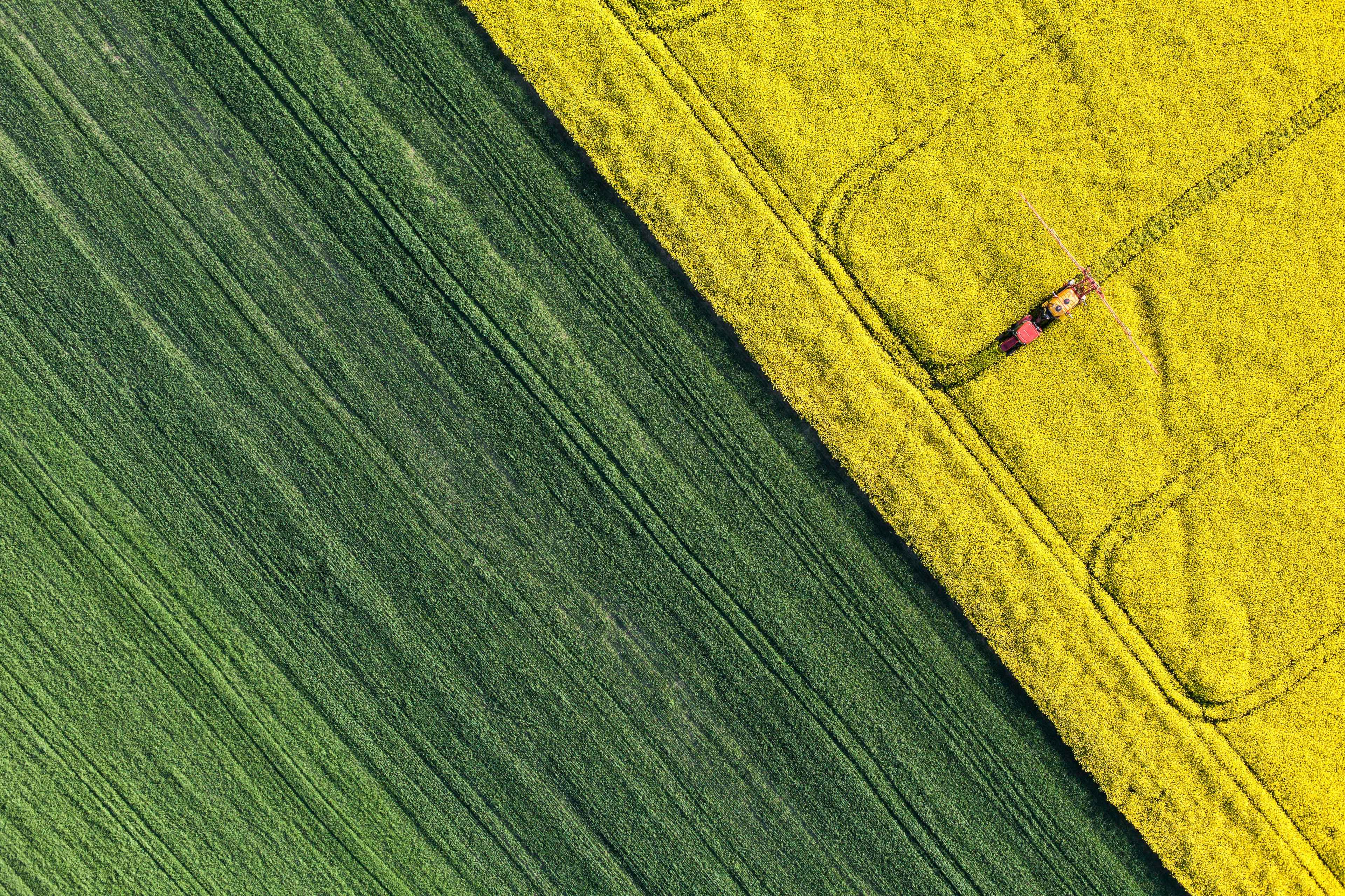 Les cultures agricoles