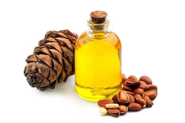 Oleoresins & Extracts