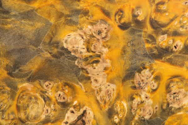 Impregnating Resin