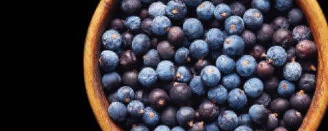 PRIMETIME Nat Juniper Flavor (BD-10528) banner