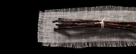 PRIMETIME Nat French Vanilla Flavor WONF (BD-10363) banner