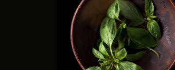 PRIMETIME Nat Basil (sweet) Flavor WONF (BD-10235) banner
