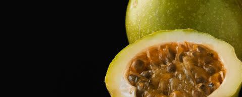 PRIMETIME Nat Passionfruit Flavor WONF (BD-10978) banner