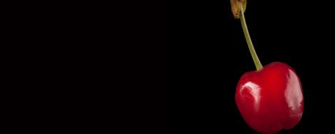 PRIMETIME Nat Cherry Flavor WONF (BD-10980) banner