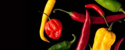 PRIMETIME Nat Chili Serrano Pepper Flavor Type (BD-10232) banner