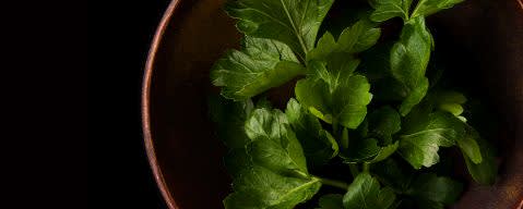 PRIMETIME Nat Parsley (fresh) Flavor WONF (BD-10267) banner