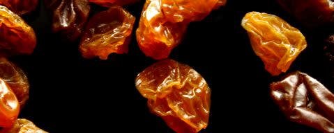 PRIMETIME Nat Raisin Flavor WONF, Oatmeal Cookie Type (BD-10381) banner