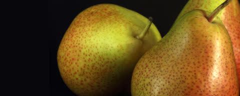 PRIMETIME Nat Pear Flavor WONF (BD-10604) banner