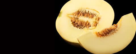 PRIMETIME Nat Cantaloupe Flavor WONF (BD-10703) banner