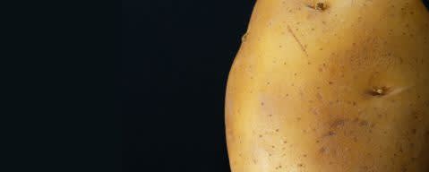 PRIMETIME Nat Potato (fried) Flavor Type (BD-10301) banner