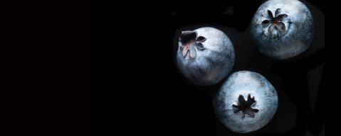 PRIMETIME Nat Blueberry Flavor Type (BD-10380) banner