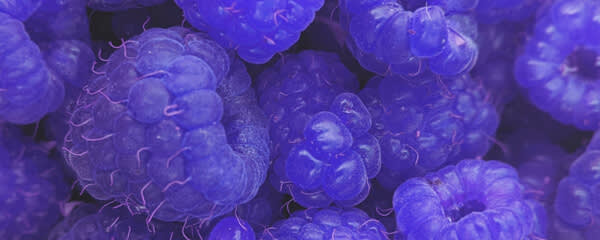 Callisons Blue Raspberry Flavor Natural Type (1905611) banner