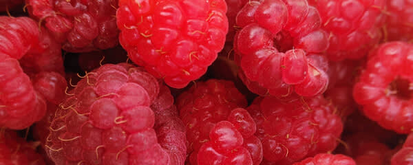 Callisons Raspberry Flavor NAT WONF WS (1902052) banner