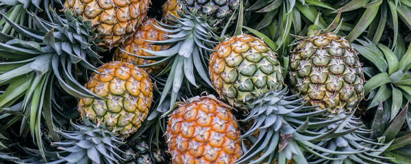 Callisons Pineapple Flavor NAT WONF WS (104171) banner