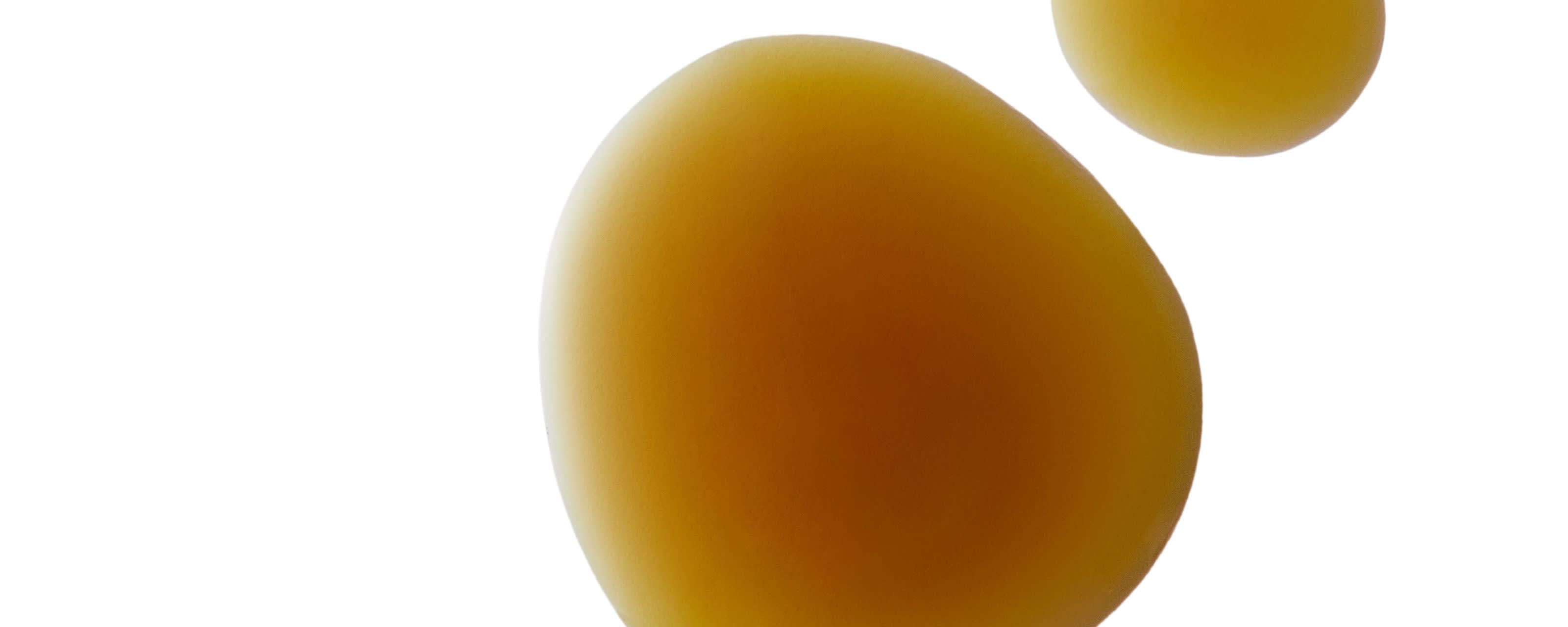 Botanic Innovations Organic Pumpkin Seed Oil banner