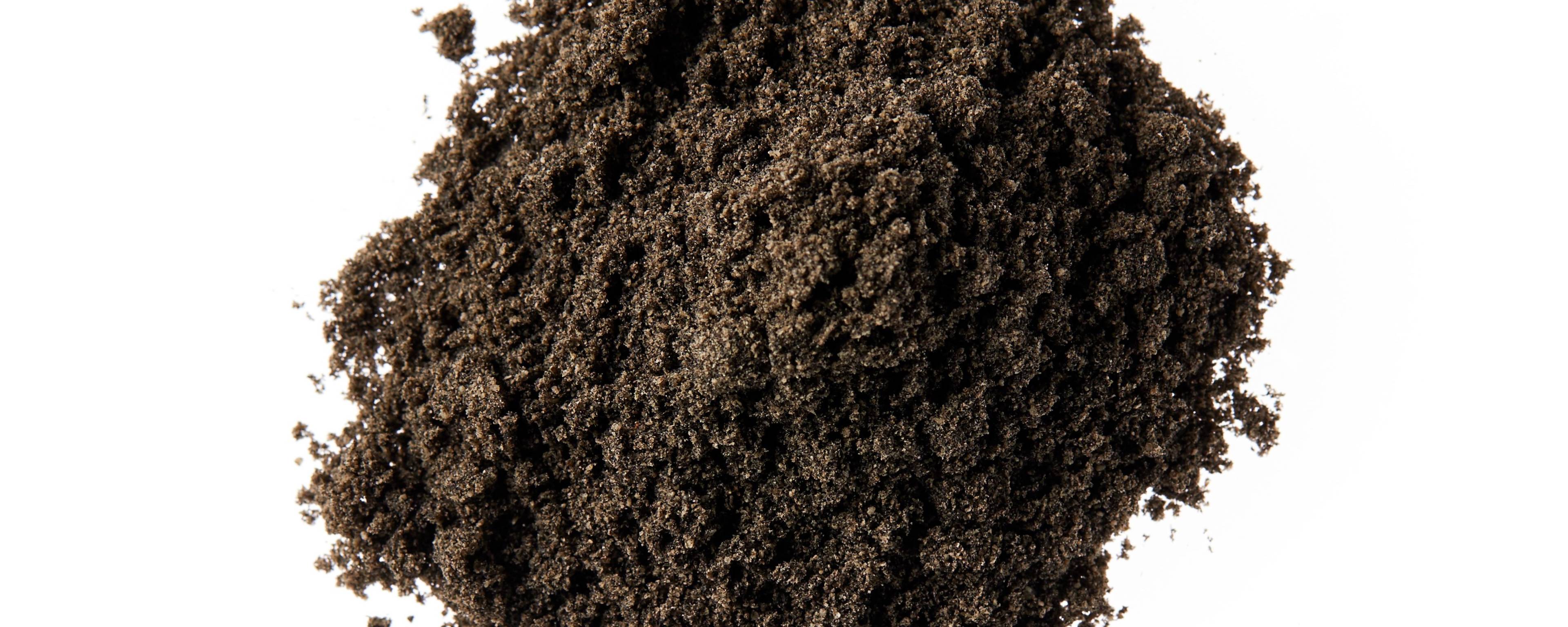 Botanic Innovations Organic Black Cumin Seed Powder banner