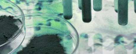 Henry Lamotte Oils GmbH Spirulina banner