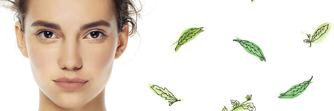 Stevisse™ advanced botanical ingredient banner