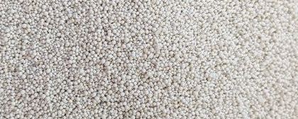 SandyCal™ 20/80 banner