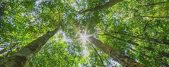 METOLOSE® SM 400 banner