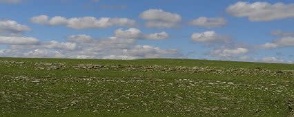 Terratek® BD3018 banner