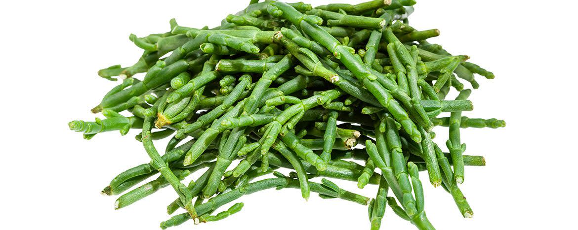 Actismart™ SW glasswort banner