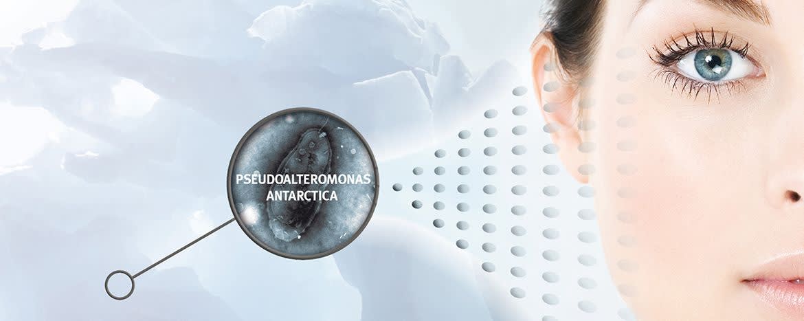 Antarcticine® marine ingredient C banner