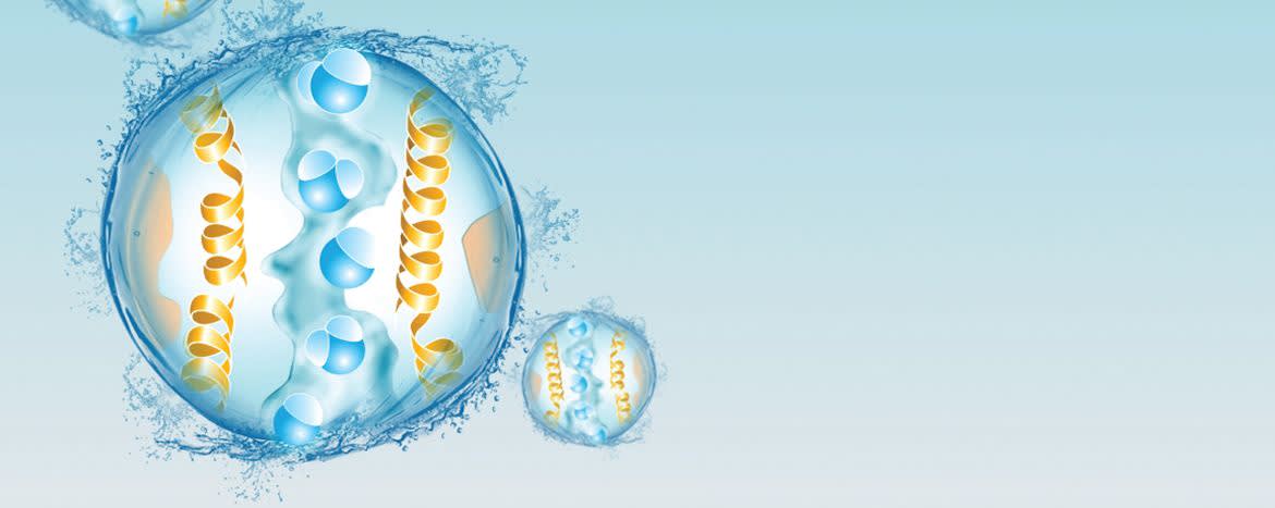 Diffuporine® peptide solution banner