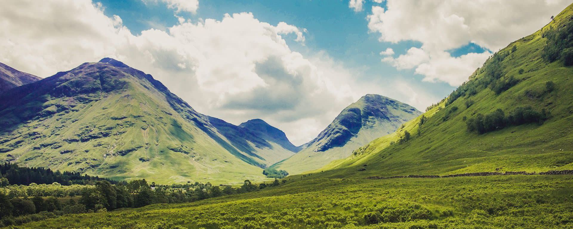 Danimer 26806 banner