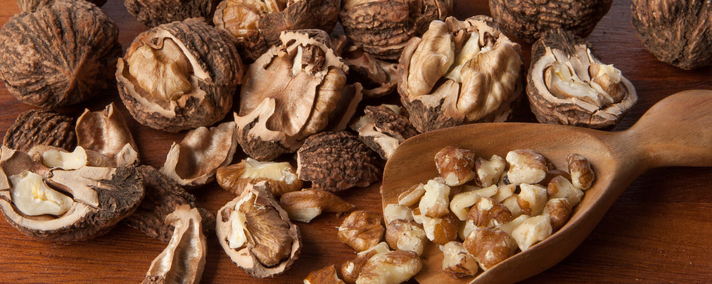 Hammons® Black Walnut Shell banner