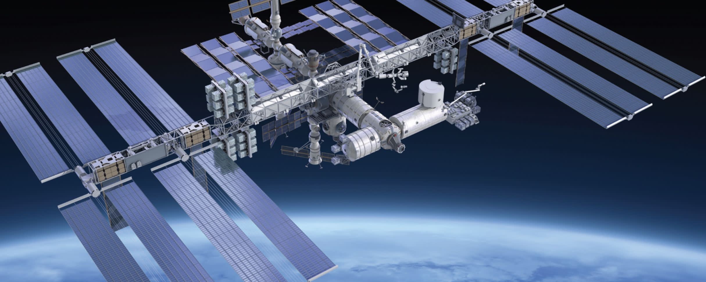 Delavie Sciences Bacillus Lysate banner