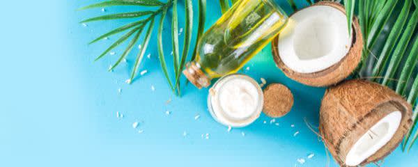 CoreFX Ingredients 70GA-C Dry MCT Oil banner