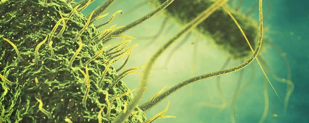 Accepta® BS100 banner