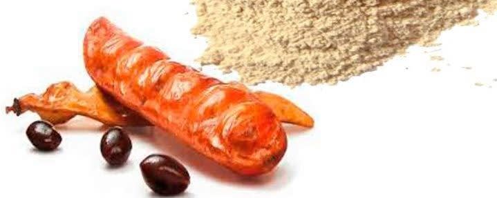 Exandal Corporation banner