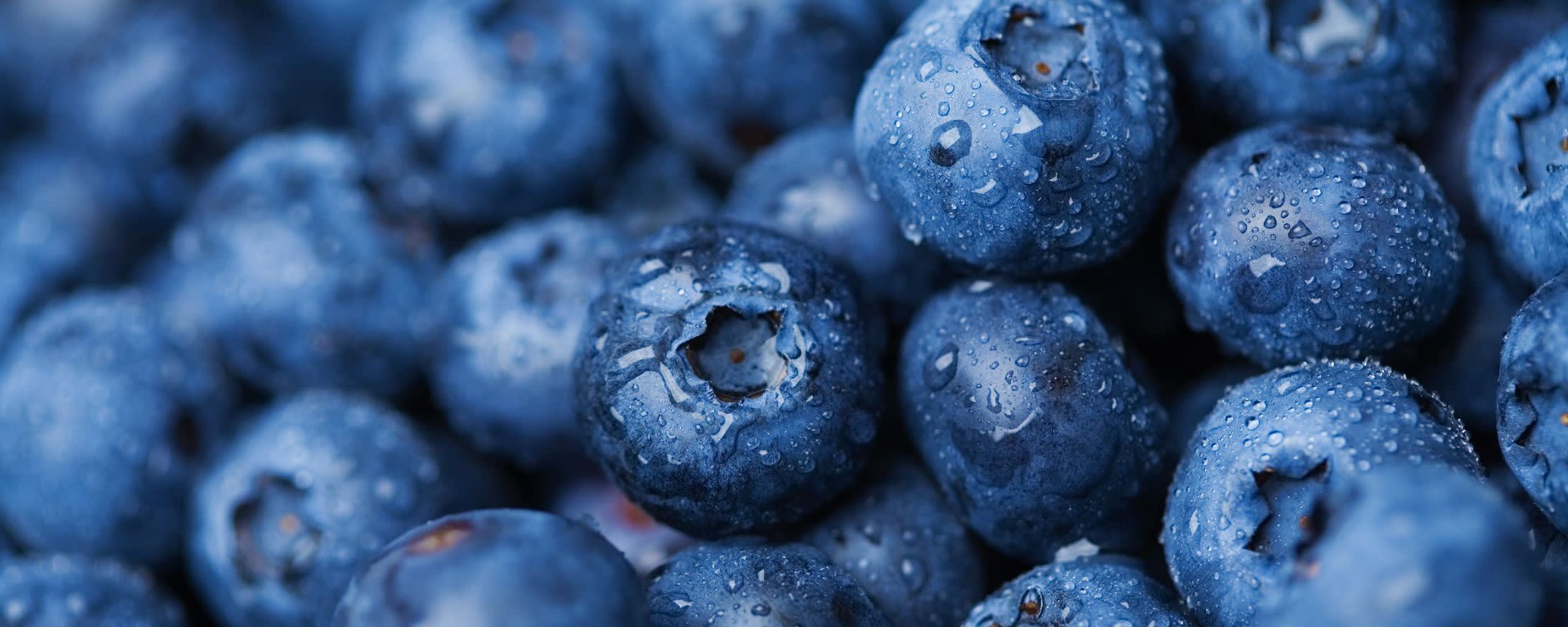 Natural Blueberry Type Flavor SD (7237029) banner