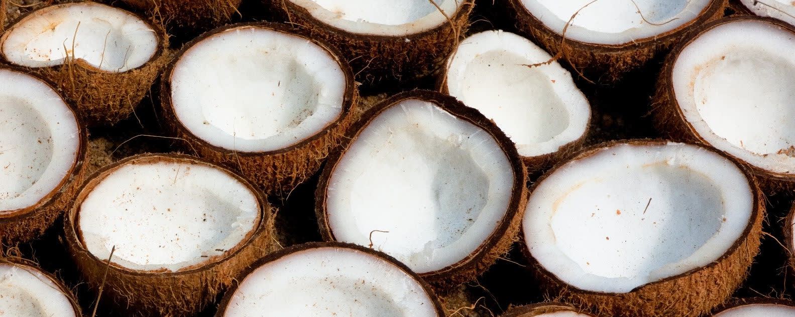 Natural Coconut Flavor Type FL SD (7237052) banner