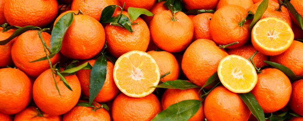 Natural Clementine FL SD (7237015) banner