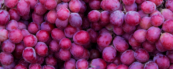 Natural Grape Type FL SD (7237033) banner