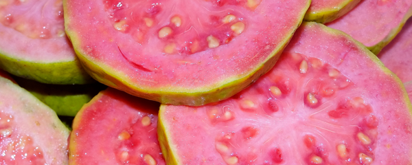 Natural Guava Type FL SD (7237043) banner