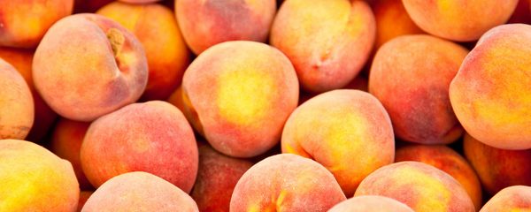 Natural Peach Type FL SD (7237035) banner