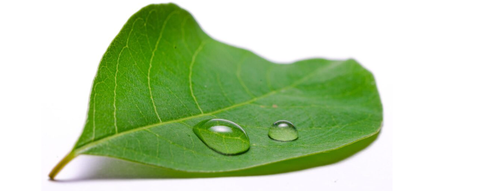 PG6 ACTIVE HYDRA FACTOR banner