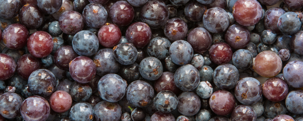 Natural Grape Type FL WS (7237068) banner