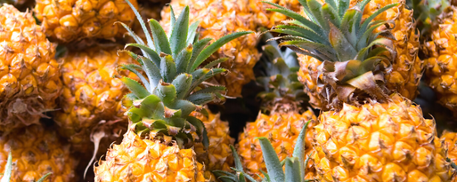 Natural Pineapple Type FL WS (7237081) banner