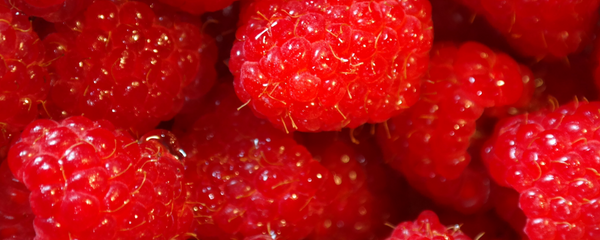 Natural Raspberry Type FL OS (7237097) banner