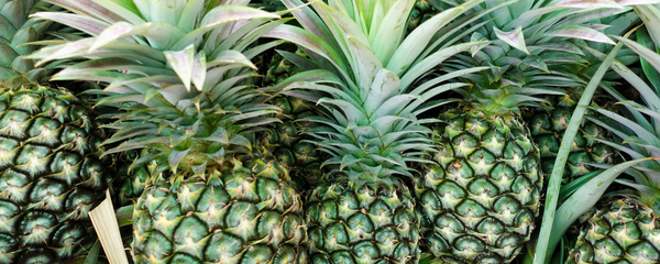 Natural Green Pineapple Type FL WS (7237089) banner