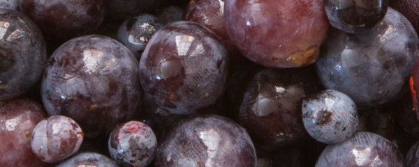 Natural Grape Type FL WS (7237067) banner