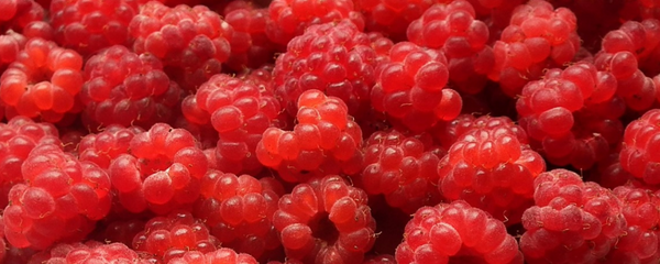 Natural Raspberry Type FL OS (7237097) banner