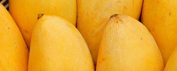 Natural Mango Type FL WS (7237074) banner